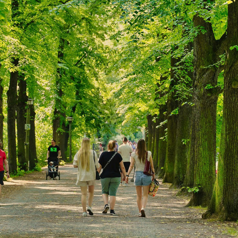 Fitness na otvorenom. Nežne šetnje i vežbe u prirodi za energiju i balans